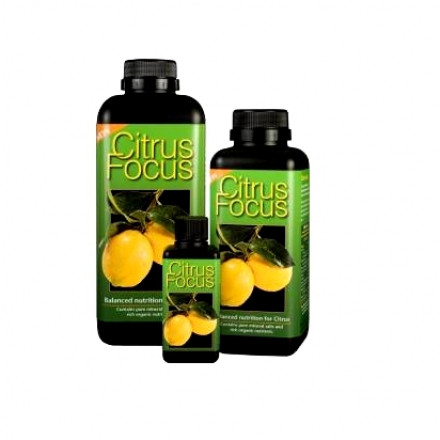 Citrus Focus, стимулятор-удобрение для цитрусовых