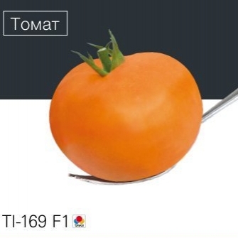 Томат Бигоранж F1 (Ti-169 F1), индетерминантный TAKII