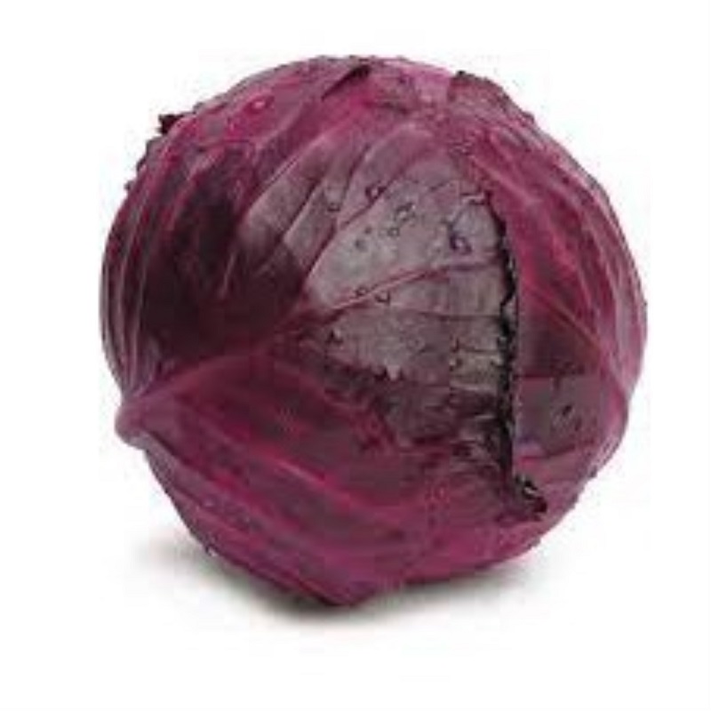 Капуста  Ред Джевел F1 краснокочанная SAKATA