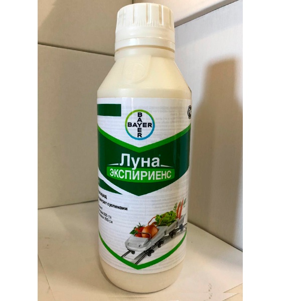 Луна Экспириенс фунгицид системный (альтернариоз, мучнистая роса, пятнистости)
