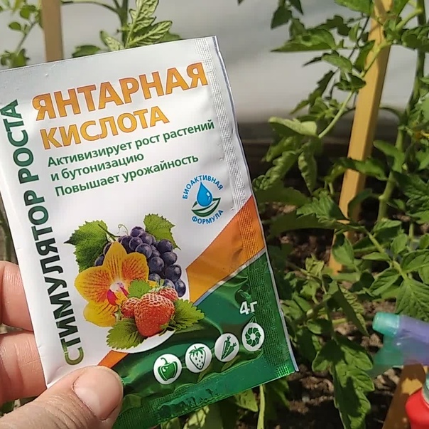 Янтарная кислота 4 гр  реаниматор