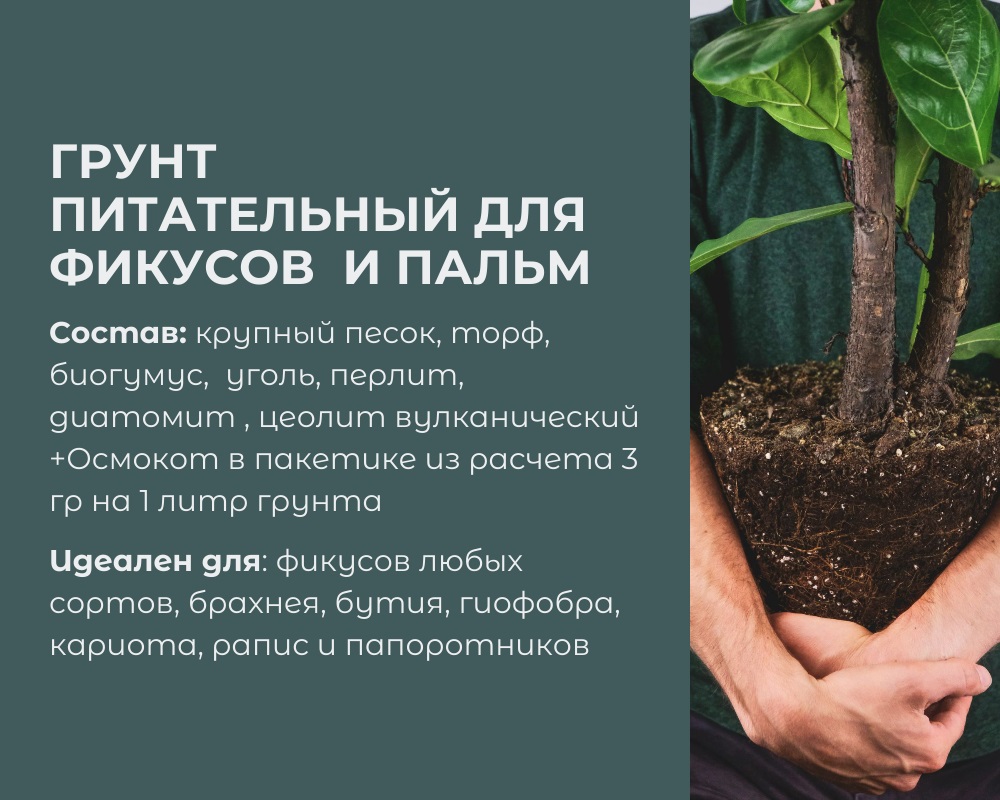 Грунт питательный для Фикусов и пальм