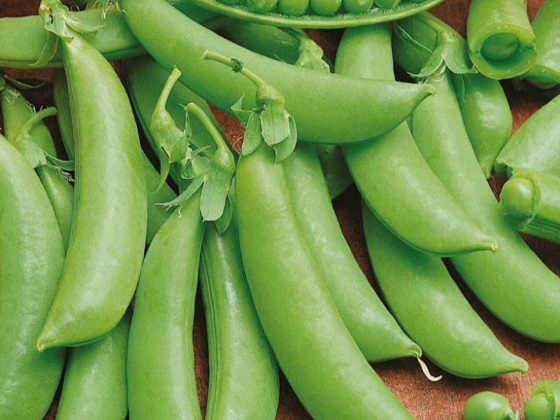 Горох Детский сладкий сахарный