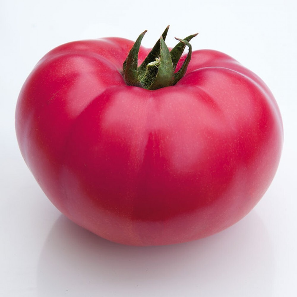 Томат Каншин F1 KS  3811 F1  Япония розовый индетерминантный ранний