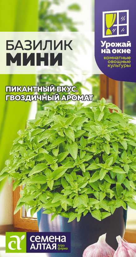 Зелень Базилик Мини/Сем Алт/цп 0,1 гр. УРОЖАЙ НА ОКНЕ!
